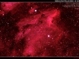 NEBULOSA PELLICANO IC5070